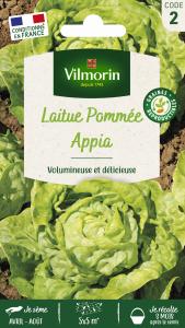 Laitue Pommée Appia